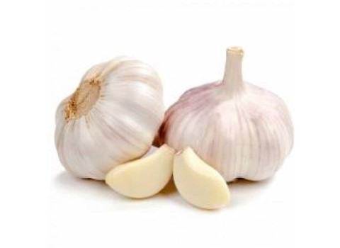 تصویر 3 از قیمت خرید سیر صادراتی درجه یک + فروش ویژه